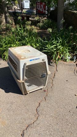 Free dog kennel