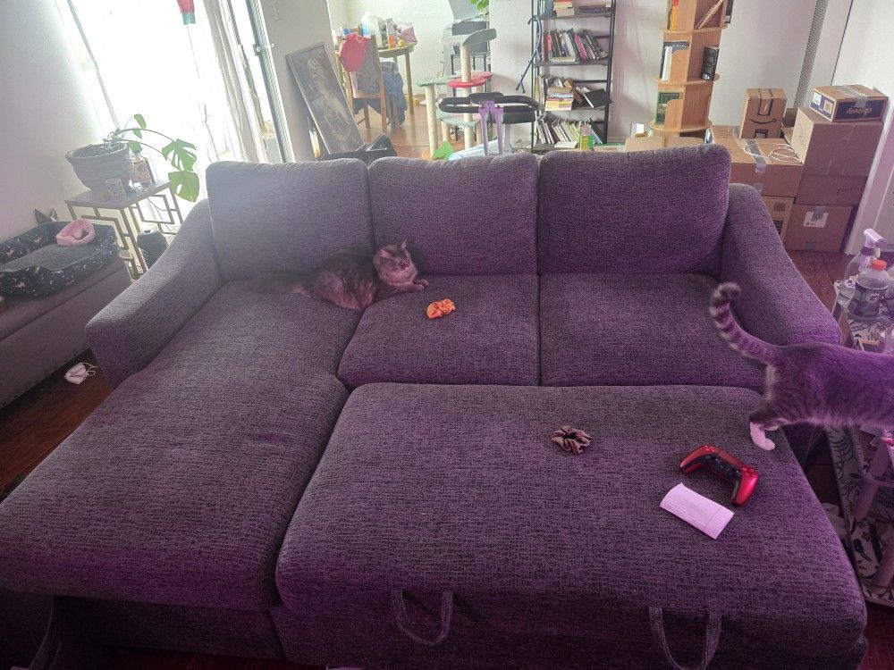 Grey Sleeper Couch Lightly Used (Coddle Sleeper)