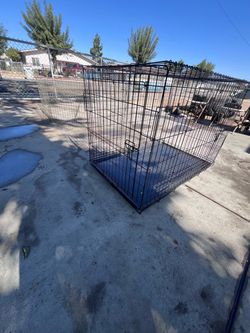 XL DOG CRATE