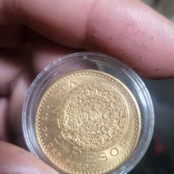 20 Pesos Gold Coin