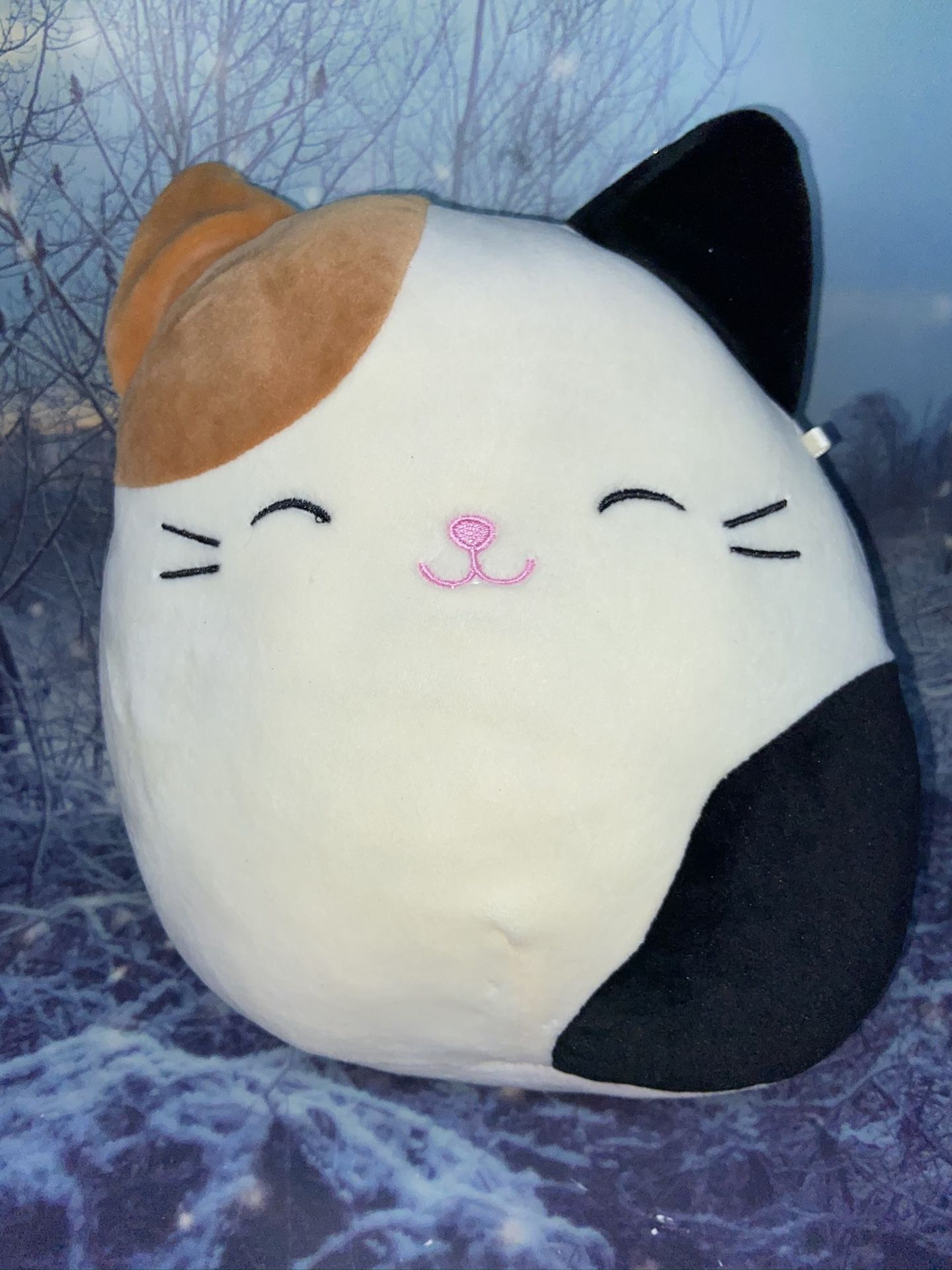 Squishmallow Cat Cameron 8”