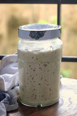Active Sourdough Starter