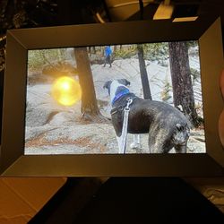 Nixplay Digital Photo Frame 