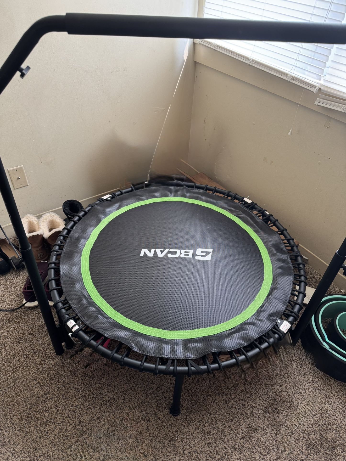 Rebounder/mini Exercise Trampoline