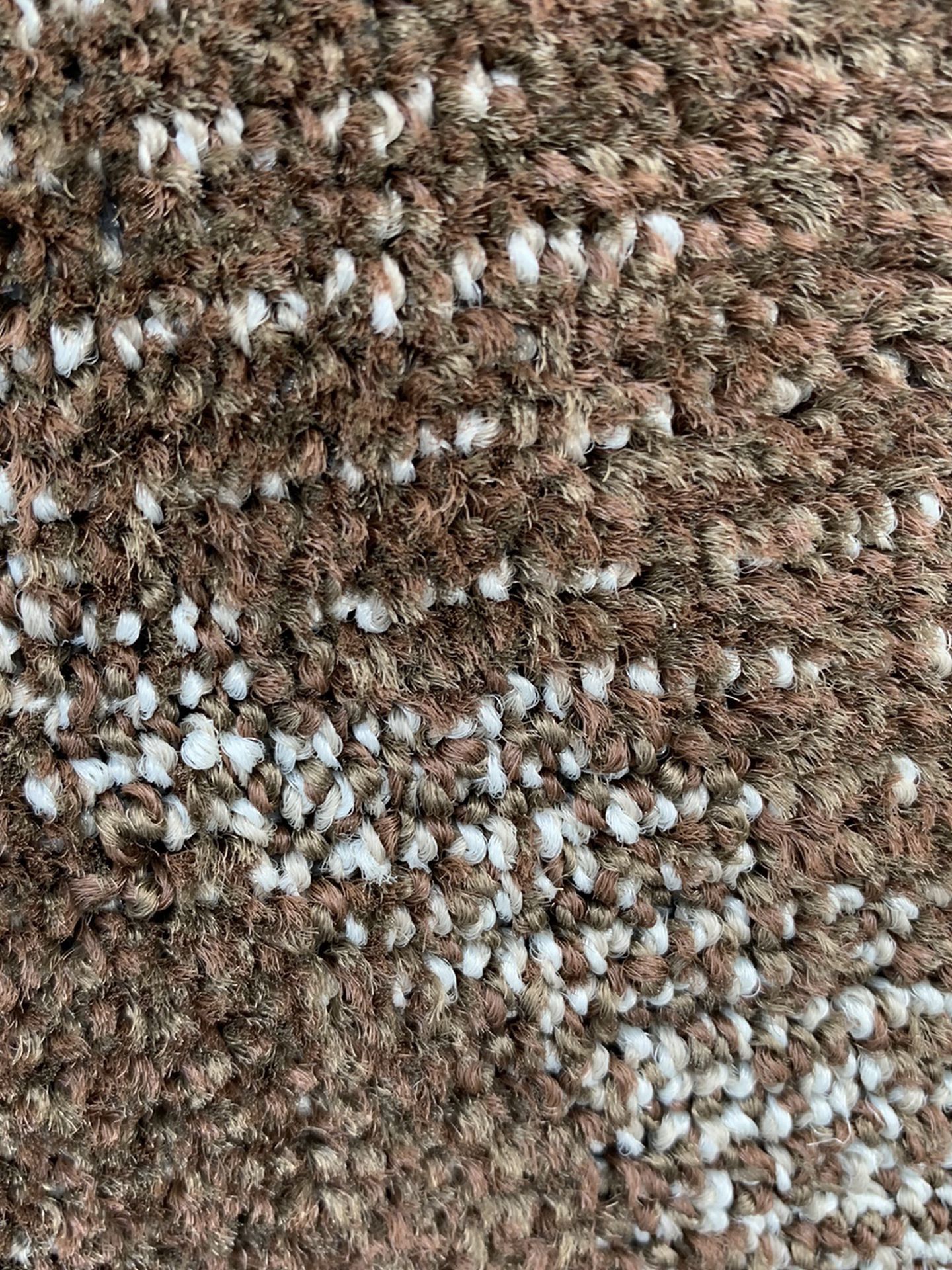 New Carpet $300