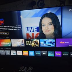 Vizio 43 In Tv