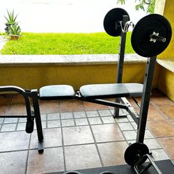 Bench Press - Exercise Equipment 