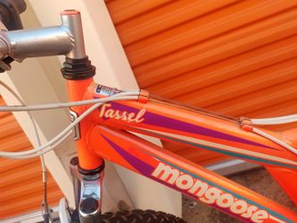 Mongoose Bike $80
