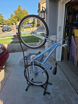 Women/girls Roadmaster Mountain Bike Blue