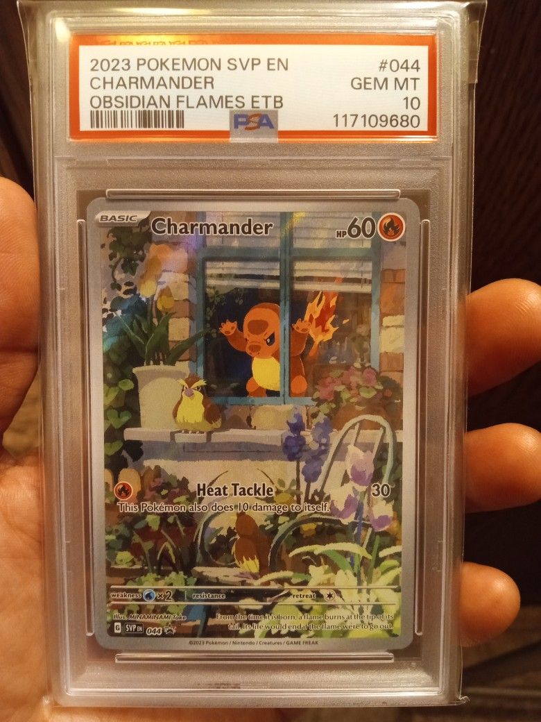 Charmander 🔥🔥🔥