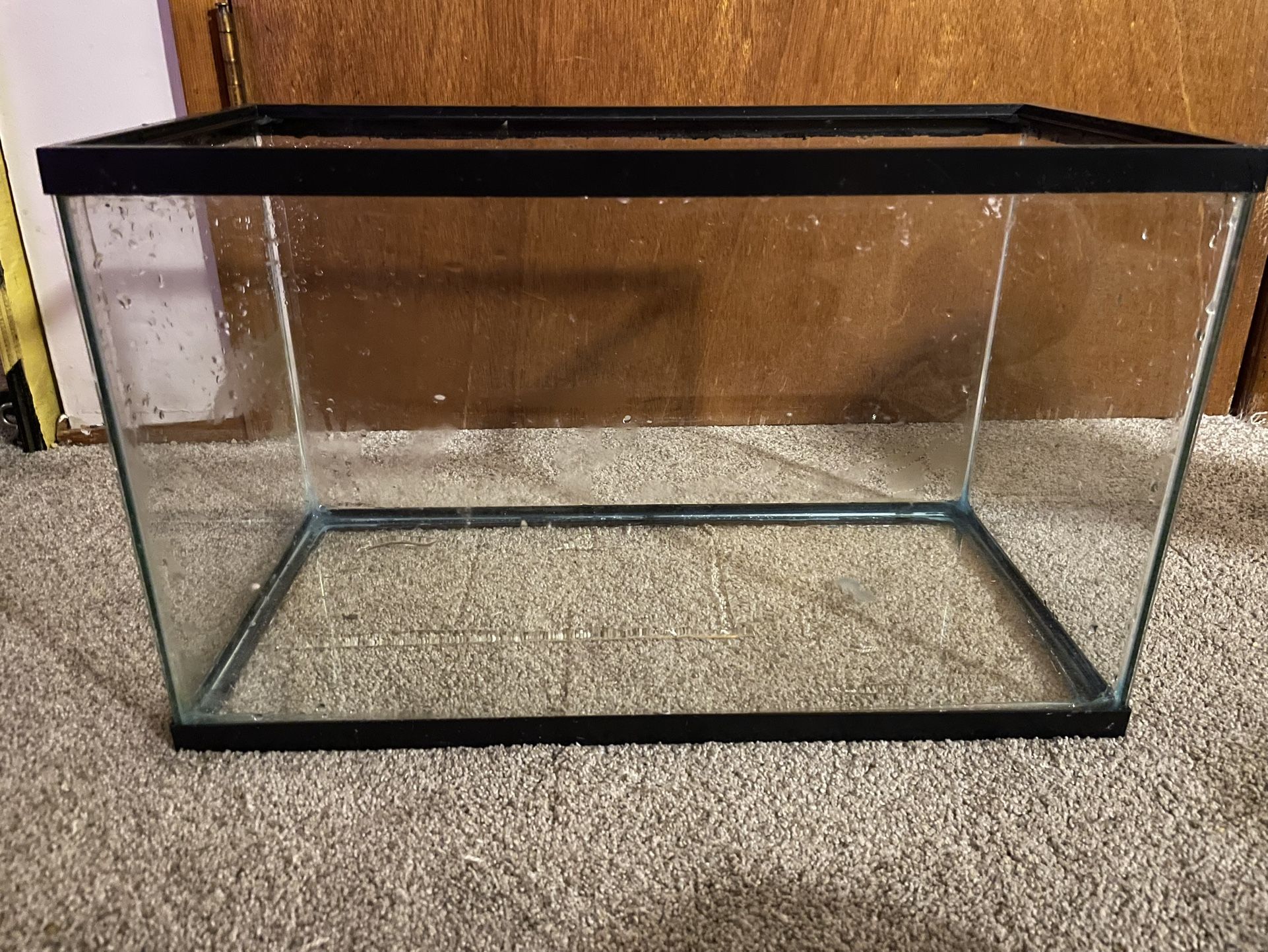 Fish Tanks!