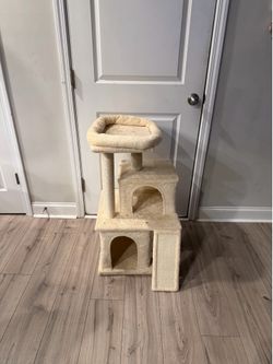 Cat house & Scratching post