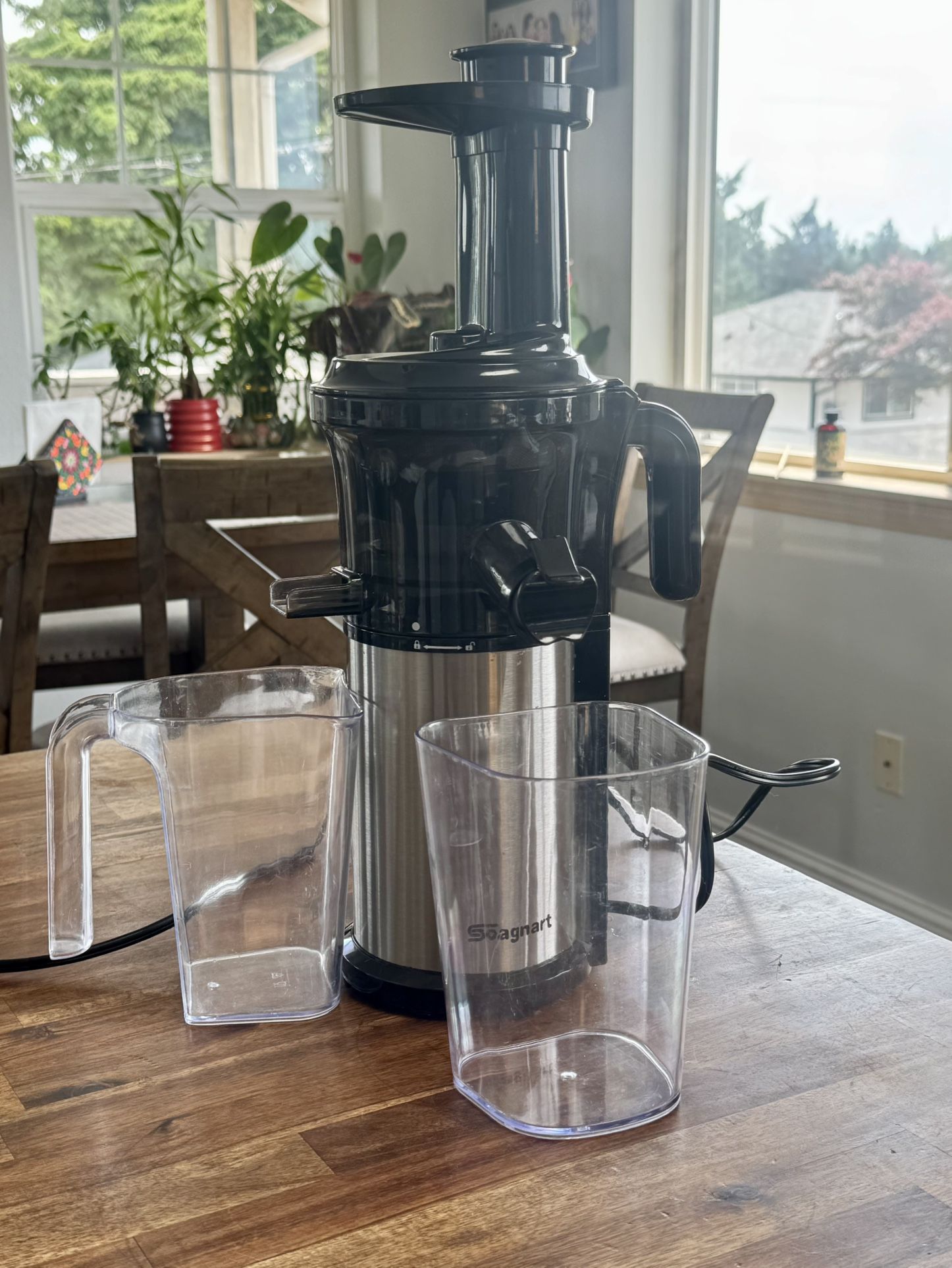 Cold Press Juicer