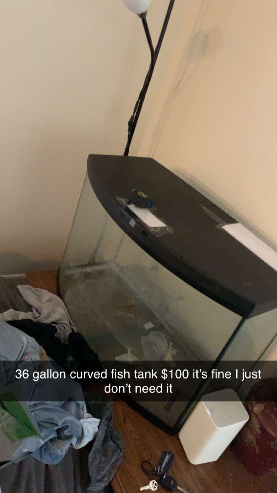 36 Gallon Fish tank 