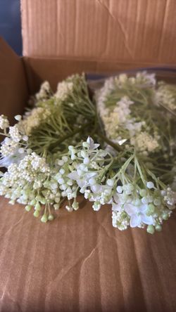 Babies breath floral
