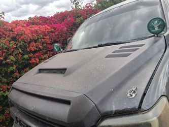 Fiberglass tundra hood