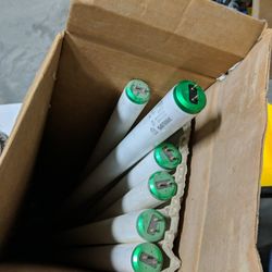 Fluorescent Bulbs
