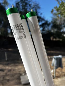 FREE 6 Working Fluorescent Bulbs Phillips F3T8