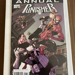 PUNISHER ANNUAL #10