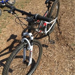 Flexor  Kent 29  21 Speed  Bicycle 