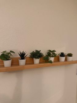 Set of 7 Mini Faux Plants in White Pots