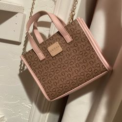 Guess Purse 