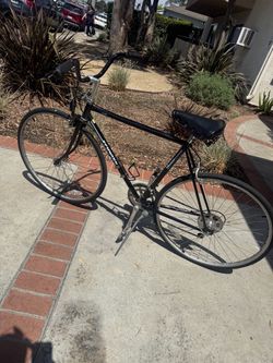 Schwinn Black world Road Bike