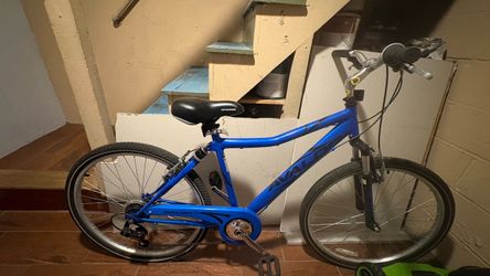 Avalon bike