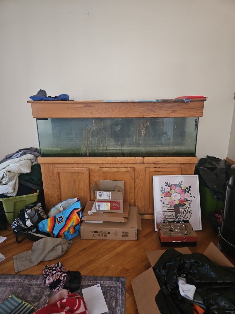 Fish Tank