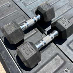 15 Pound Rubber Hex Dumbbells Pair