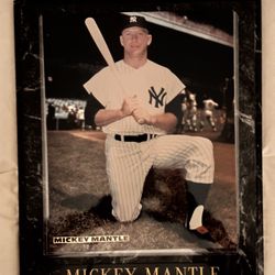 Mickey Mantle  