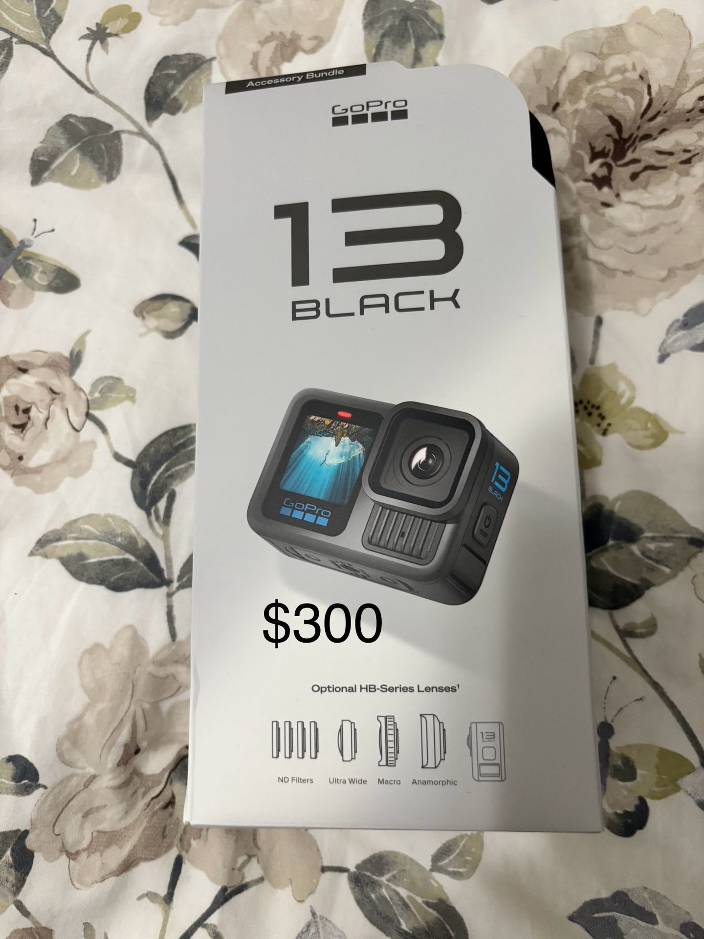 Go Pro 13