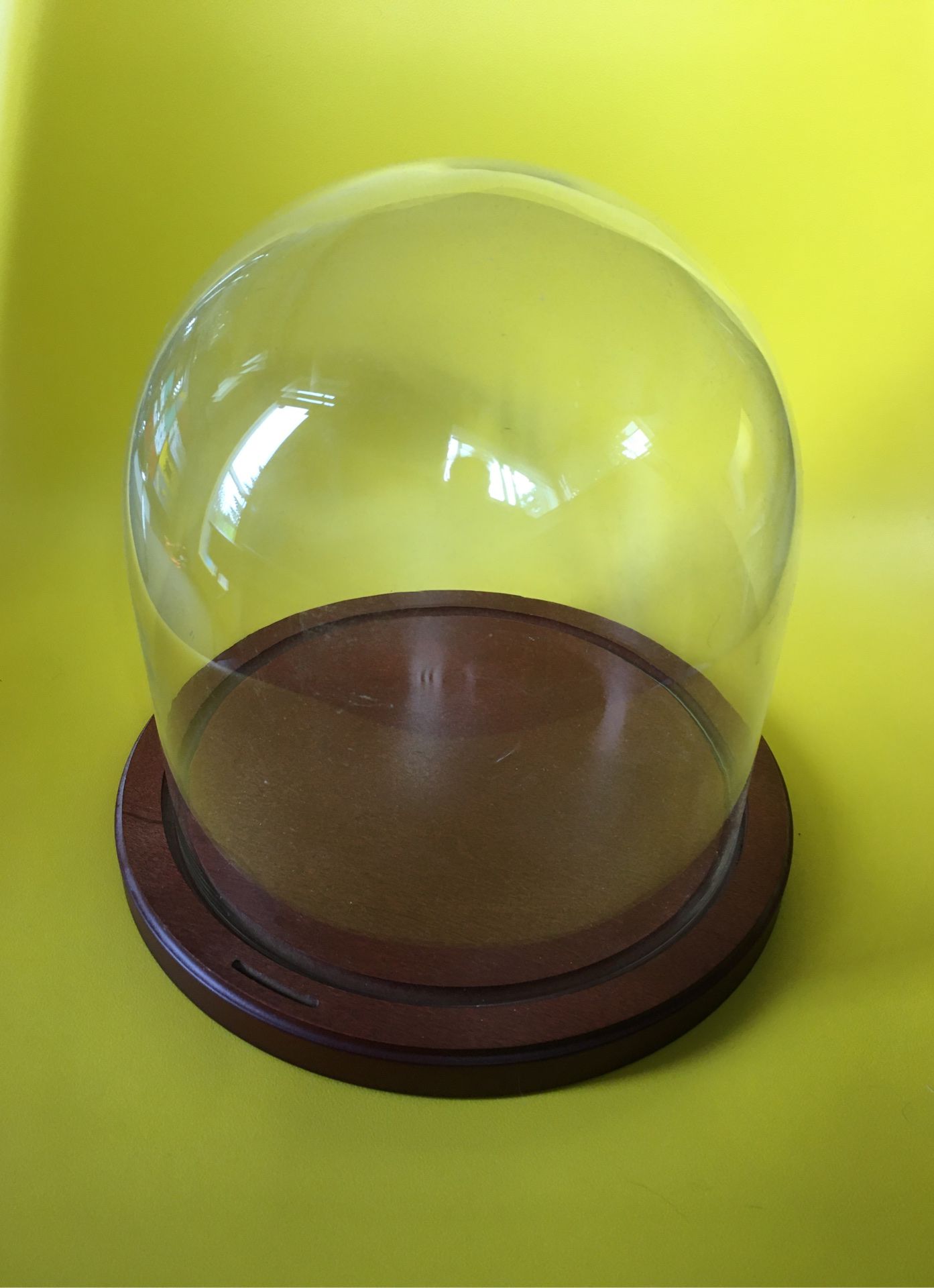 8” x 8” glass display case dome