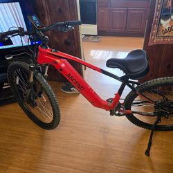 ASCEND Hybrid Bike