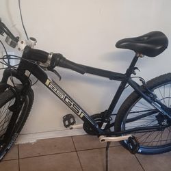 29 In Genesis Bicycle 