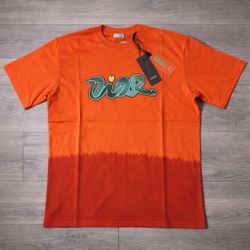 Dior x KAWS Relaxed Fit T-shirt in Orange and Red