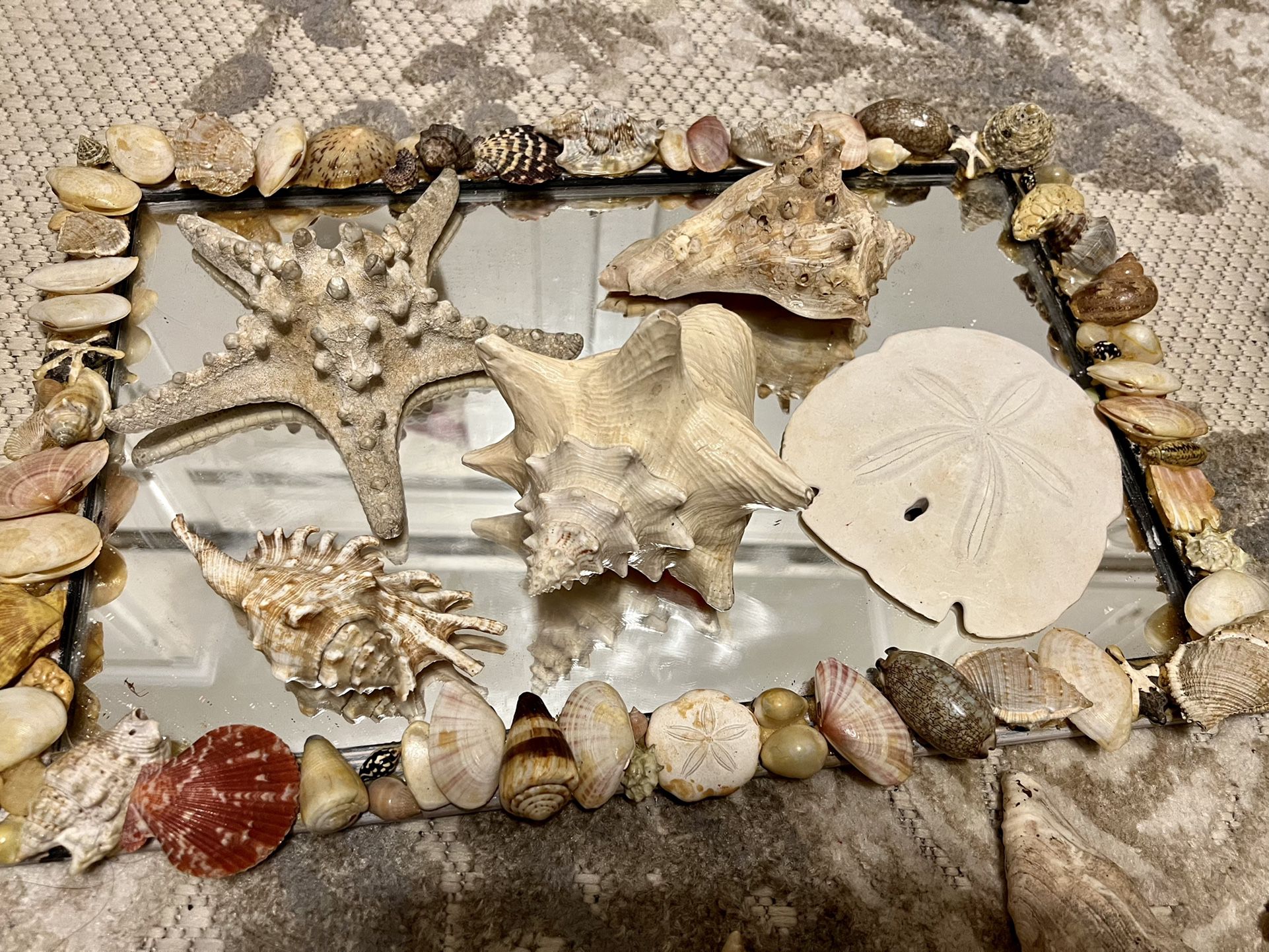 Antique Mirror 12”x18” with shell frame & HUGE collection of sea shells including 9 LARGE CONCHS & MORE ! Coastal Decor