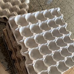 Cartones porta huevos