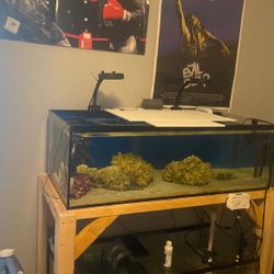 60 Gallon Saltwater Tank Full Set Up