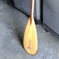 Paddle Cavpro