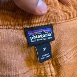 Women's Patagonia Pants  Size 31
