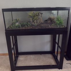 Fish & Reptile Tanks 