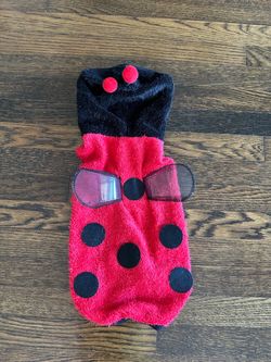 Dog Halloween Costume - Lady Bug