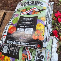 BlackOrganic Rich Soil 