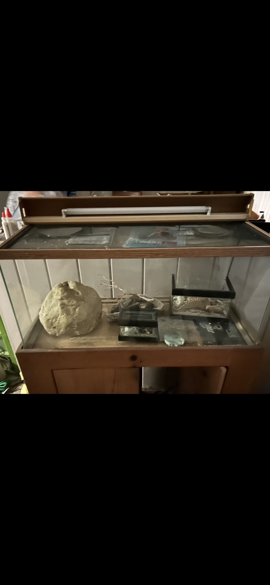 40 Gallon Tank