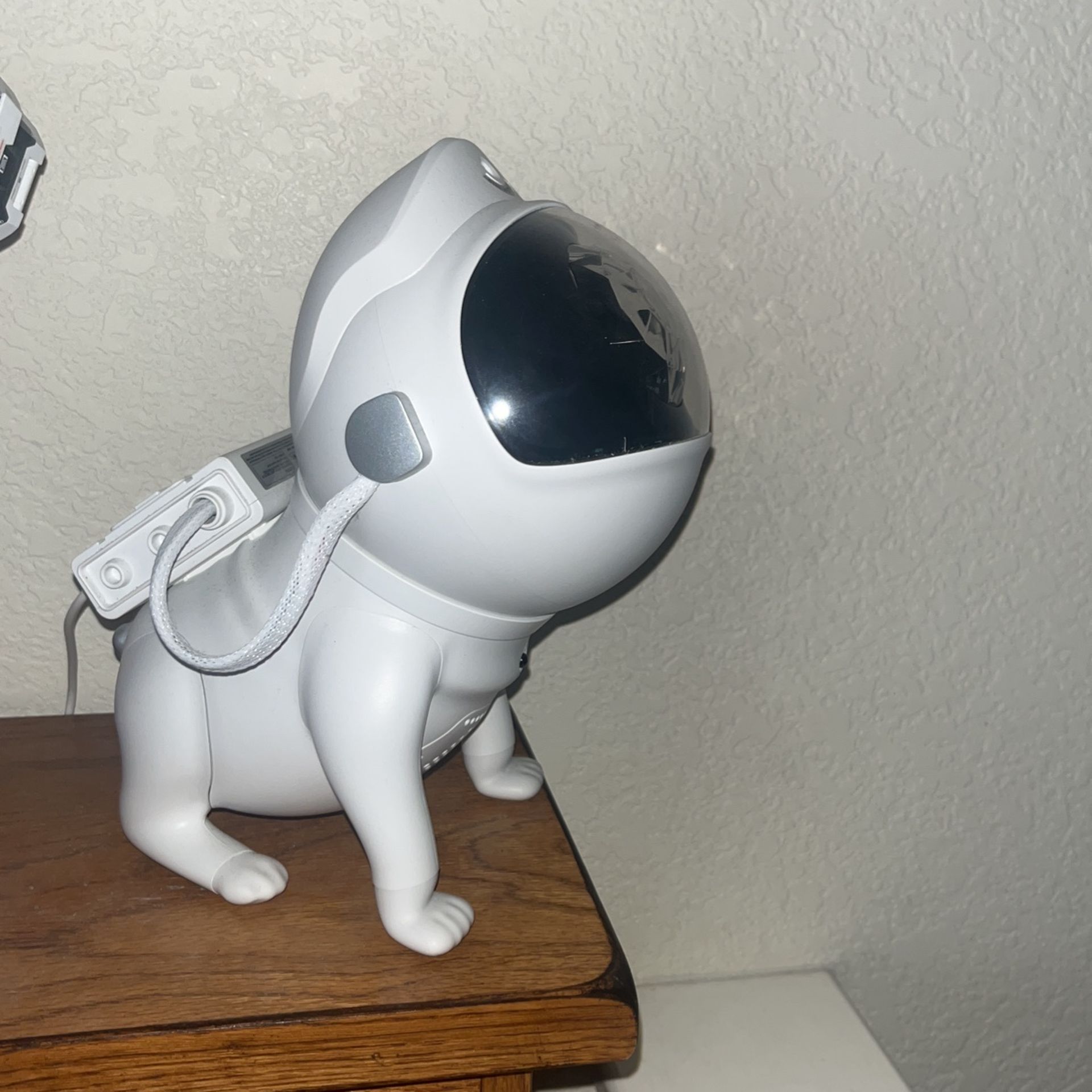 Smart Dog Light