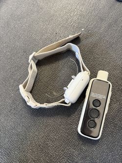 Dog Training Shock Collar