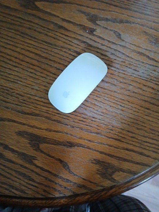 Apple I mice 3