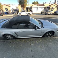 2004 GT Mustang Convertible