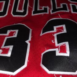 Real Scottie Pippin Jersey 